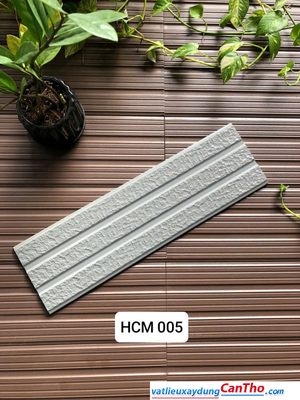 Việt Nhật HCM 005